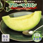 アローマメロン 小玉 1玉入