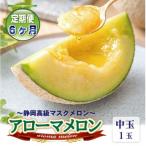 アローマメロン 白等級 中玉 1玉入
