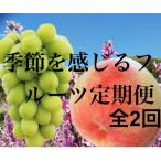 季節を感じる 訳あり桃 とシャインマスカット