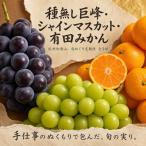 紀州和歌山産旬のフルーツセット 種なし巨峰