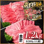 飛騨牛霜降り 赤身食べ比べセット 2ヶ月定期便 計1.2kg