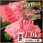 飛騨牛霜降り 赤身食べ比べセット 2ヶ月定期便 計1.6kg