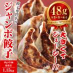 餃子専門店 宇都宮 悟空 特製肉餃子24個入×3ヶ月