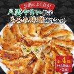 餃子2種セット40個 野菜餃子10個入り×2箱
