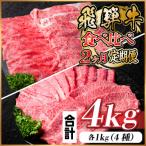 飛騨牛霜降り 赤身食べ比べセット 2ヶ月定期便 計4kg