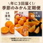 ふるさと納税 八幡浜市 【発送月固定定期便】美味しいみかん柑橘のある暮らし【みかん・まどんな・きよみ】【G31-42】全3回