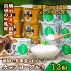カップヨーグルト12個全12回