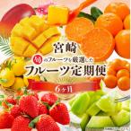 ショッピングふるさと納税 定期便 ふるさと納税 宮崎市 【発送月固定定期便】旬のフルーツ6か月定期便Vol.1(上旬発送)全6回