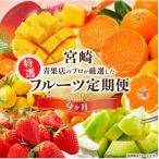 特選 旬のフルーツ9か月定期便Vol.1