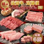 ふるさと納税 小城市 【発送月固定定期便】A5〜A4ランク 佐賀牛を奇数月にお届け(小城市)全6回