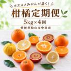 柑橘 5kg