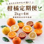 柑橘 2kg
