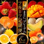 宮崎の旬なくだものをお届け 至極くだもの定期便全6回