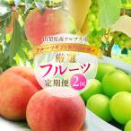 ふるさと納税 南アルプス市 【発送月固定定期便】フルーツギフト専門店が選ぶ南アルプスの厳選フルーツ定期便 全2品種全2回