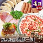 ふるさと納税 枕崎市 【発送月固定定期便】鹿児島県産黒豚三昧 EE0-0005 全4回