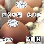 とうや湖 卵 鉄 20個