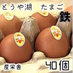 とうや湖 卵 鉄 40個