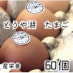 とうや湖 卵 60個