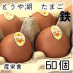 とうや湖 卵 鉄 60個
