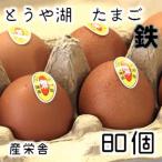 とうや湖 卵 鉄 80個