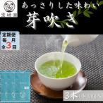 さざの有機栽培茶 芽吹き 100g×3本