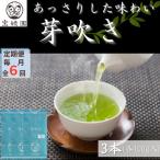 さざの有機栽培茶 芽吹き 100g×3本