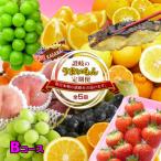 ショッピングふるさと納税 定期便 ふるさと納税 坂出市 【発送月固定定期便】創業100年坂出産のフルーツとさぬきの特産品の定期便【Bコース5回】全5回