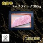 ロースブロック 500g全3回