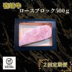 ロースブロック 500g全2回