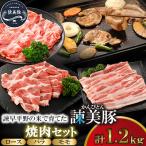 ロース600g入り焼肉セット 1.2kg諫早平野の米で育てた諫美豚