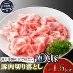 ふるさと納税 諫早市 【毎月定期便】豚肉切り落とし1.5kg!諫早平野の米で育てた諫美豚(かんびとん)【土井農場】全3回