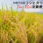 農家直送 佐伯の里 源流米 京都丹波産コシヒカリ5kg全12回