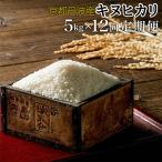 JA京都 たわわ朝霧の京都丹波産 キヌヒカリ5kg全12回