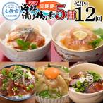 訳あり土佐の漬け丼 5種×各2袋 セット