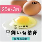 小林農園の平飼い有精卵25個 全3回