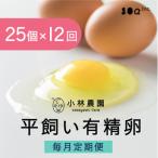 小林農園の平飼い有精卵25個 全12回
