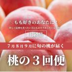 ふるさと納税 津山市 【発送月固定定期便】桃好きの為の、桃3回便!(上級品5-7玉入)(岡山県産)全3回