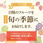 三豊市共通返礼品 フルーツ旬の果物 Bセット全5回