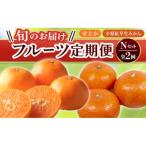 三豊市共通返礼品 フルーツ旬の果物 Nセット全2回