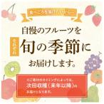 三豊市共通返礼品 フルーツ旬の果物 Cセット全3回