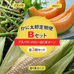 ふるさと納税 旭川市 【発送月固定定期便】かに太郎定期便Bセット アスパラ・赤肉メロン・白くまコーン_01597_全3回