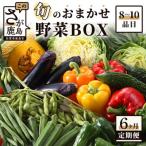 ふるさと納税 鹿島市 【毎月定期便】旬のおまかせ野菜BOX 詰め合わせ 8〜10品目全6回
