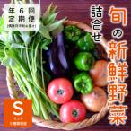 大阪能勢産 べじたぶるぱーくの新鮮野菜詰合せ
