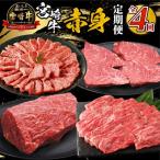 ふるさと納税 宮崎市 【毎月定期便】宮崎牛赤身定期便全4回