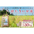 ほたるいか米 玄米 5kg全6回