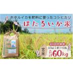 ほたるいか米 精米10kg ×6回 計60kg