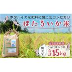 ほたるいか米 玄米5kg ×3回 計15kg
