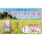 ほたるいか米 無洗米 5kg全6回