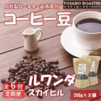 コーヒー豆 ルワンダ スカイヒル 200g×2袋