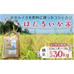 ほたるいか米 玄米10kg ×3回 計30kg